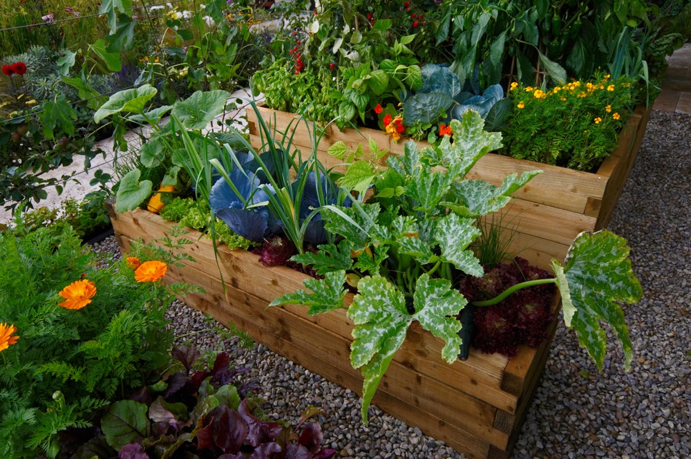 Verhoogde moestuin bakken