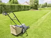 Gazononderhoud Gazononderhoud