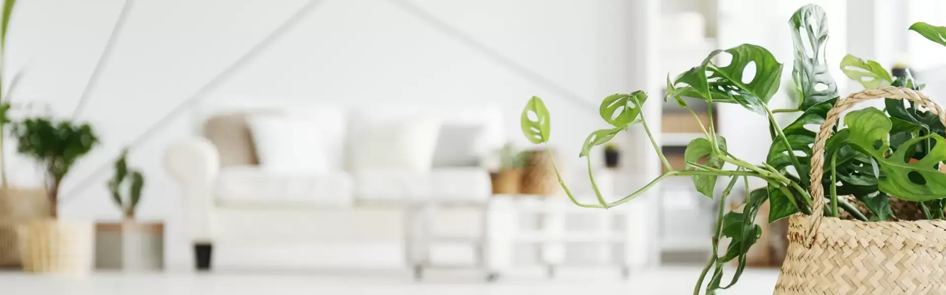 Garden Center Wemmel Garden Center Wemmel