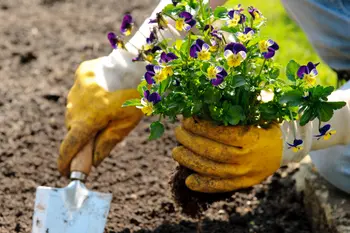 10 conseils de jardinage pour avril