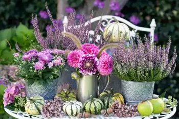 11 conseils de jardin pour septembre