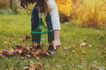 15 conseils pour le jardin et le balcon en octobre