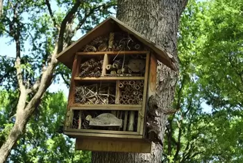 5 tips voor het maken van een insectenhotel