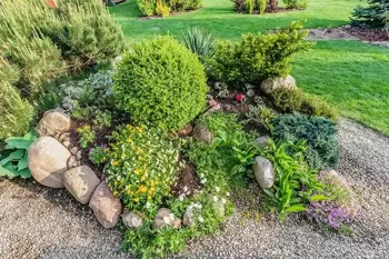 Aménager un jardin de roches