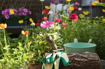 Août: conseils de jardinage pour l'été