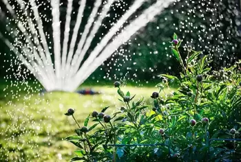 Arrosage malin et gestion de l'eau au jardin