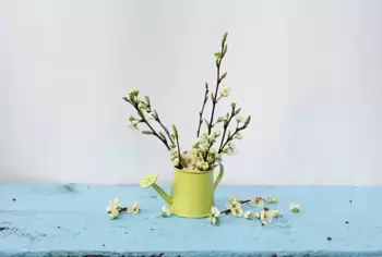 Branches en fleurs : rentrez le printemps dans la maison