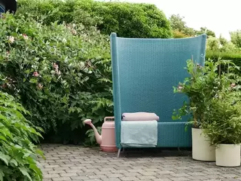 Chèvrefeuille: plante de jardin du mois de juin 2019