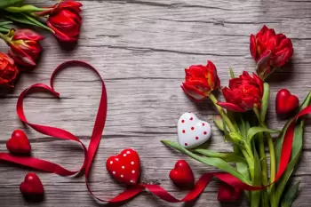 Jardinerie remplie de cadeaux colorés pour la Saint-Valentin