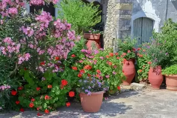 Saints de Glace : soigner les plantes en pots et en bacs