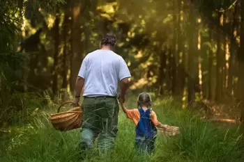 Tendance : forêt nourricière