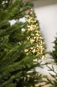 Arkansas Upswept Hinged 152 cm kunstkerstboom - afbeelding 4