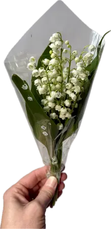 Bouquet de muguet