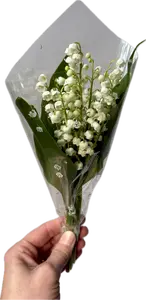 Bouquet de muguet
