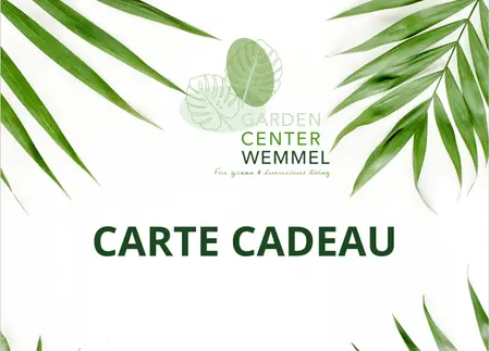 Carte Cadeau Numerique