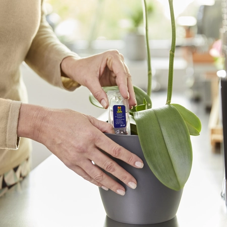Compo Herstelkuur Orchideeën - afbeelding 4
