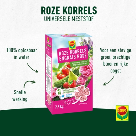 Compo Roze Korrels - afbeelding 3