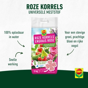 Compo Roze Korrels - afbeelding 3