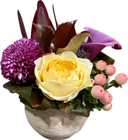 Composition florale W2 - Auriel - image 1