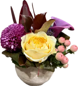 Composition florale W2 - Auriel - image 1