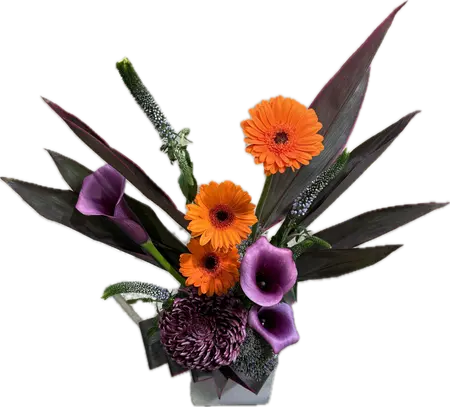 Composition florale W4 - Halo - image 2