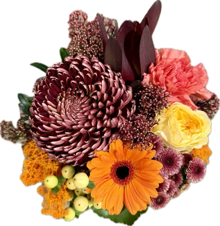 Composition florale W6 - Eclipse - image 2