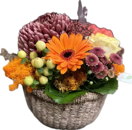 Composition florale W6 - Eclipse - image 1