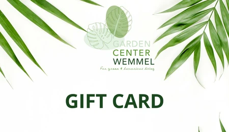 Digitale cadeaukaart Wemmel