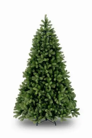 Poly Bayberry Spruce Hinged h243cm - afbeelding 1