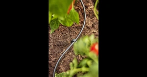 Gardena Micro-Drip-Systeem 4,6mm 50m - afbeelding 2