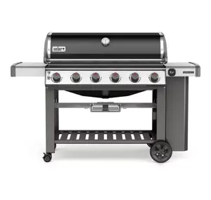 GENESIS® II E-610™ GBS™