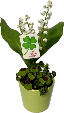 Klavertje 4 + meiklokjes - Groen