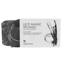 Liu’s magic sponge