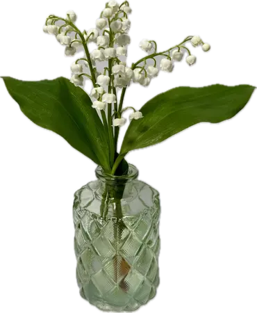 Muguet dans un vase en verre vert