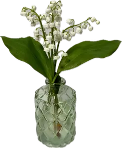 Muguet dans un vase en verre vert