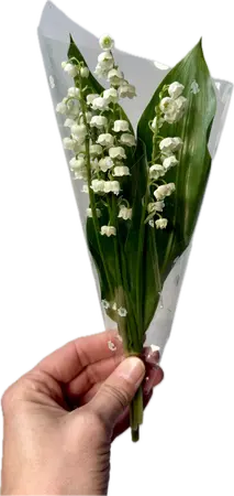 Petit bouquet de muguet