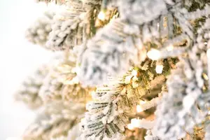 Snowy Alpine w/1320 cluster LED warm white 183cm - afbeelding 3