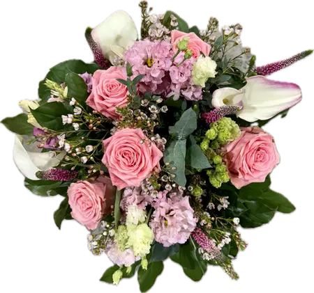 Sugarplum Dreams (L)