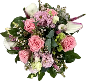 Sugarplum Dreams (M)