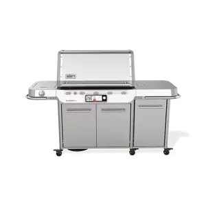 Summit® FS38X S, RVS BBQ au gaz