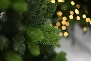 Utah Hinged 150 cm kunstkerstboom - afbeelding 3