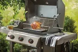 Weber ® Braadspit - afbeelding 1