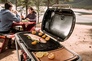 Weber Traveler, Gasbarbecue - afbeelding 4